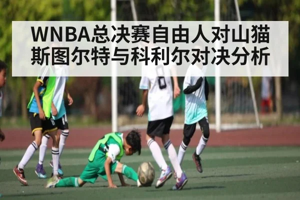 WNBA总决赛自由人对山猫斯图尔特与科利尔对决分析 - Kaiyun Sports